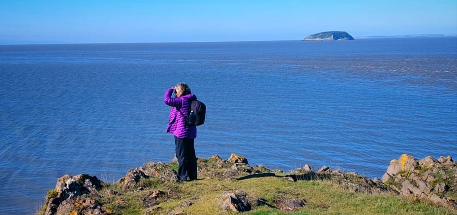 Free Guided Walks 2026